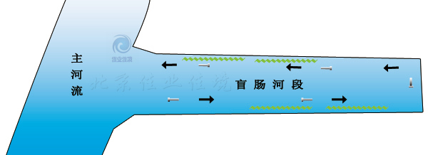 HDP河湖水域直接凈化技術(shù)（針對非流動(dòng)河流）