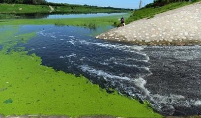 多地開展黑臭水體治理，尚無真正治理達(dá)標(biāo)項(xiàng)目