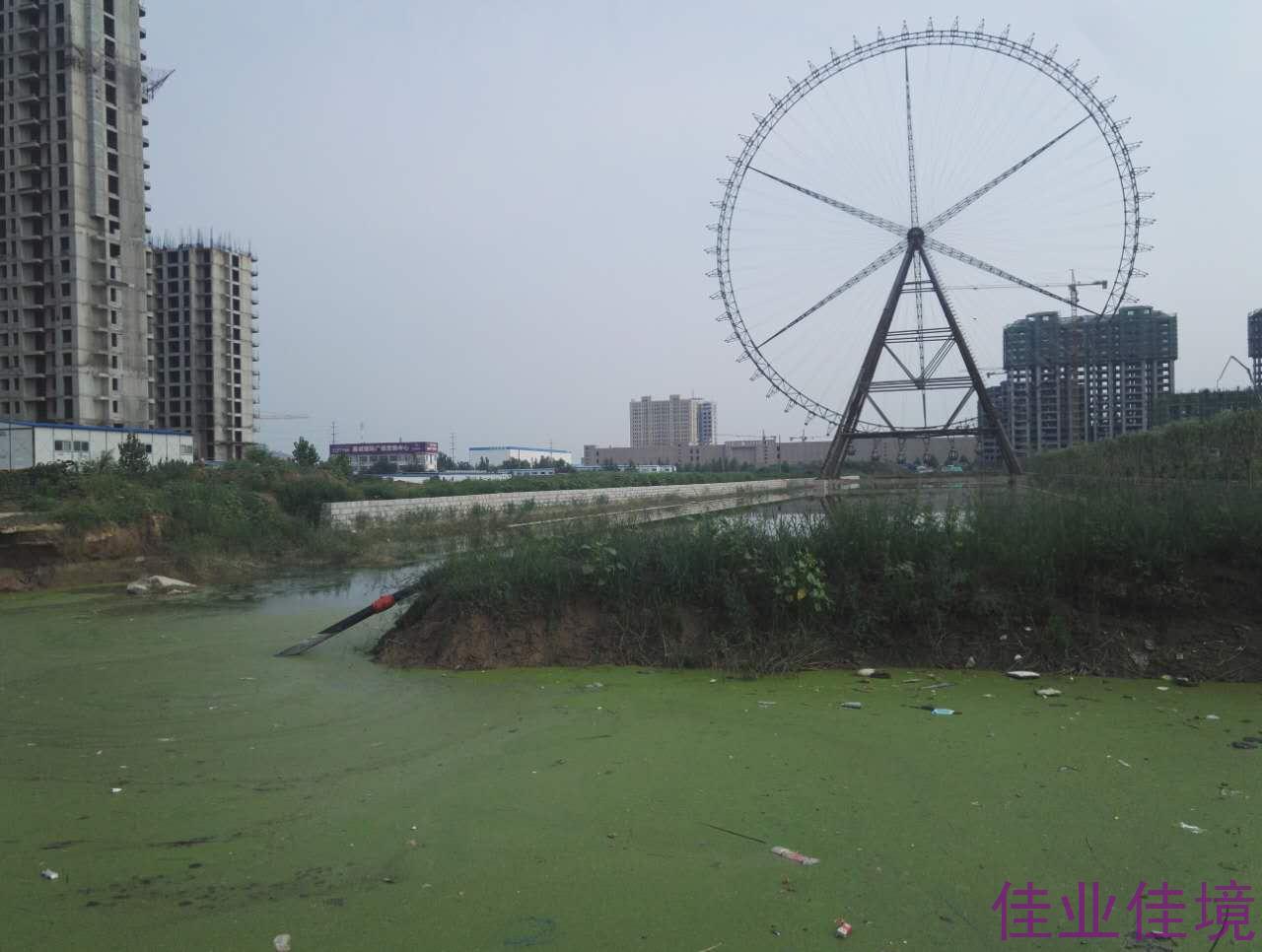 河道藍(lán)藻水華、浮萍治理